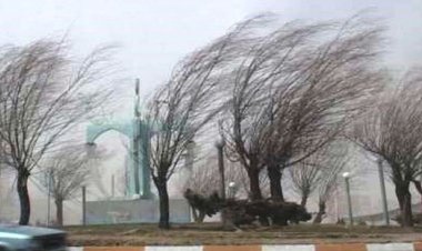 تندباد و بارندگی باعث مرگ یک نفر و خسارت در گناوه شد