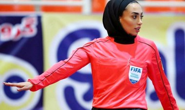 داور ربات نیست