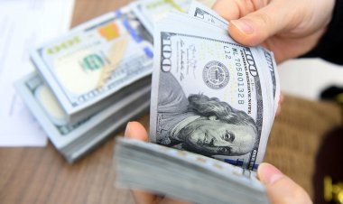 پشت پرده افزایش شدید قیمت دلار
