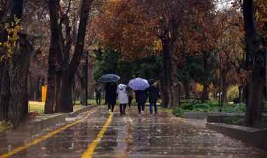 باران پاییزی فارس را فرا می‌گیرد    