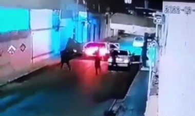 ببینید| سرقت مسلحانه یک پژوپارس