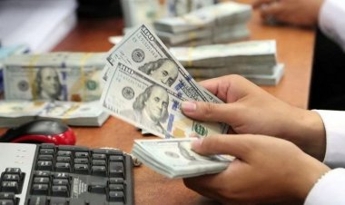 تفاوت قیمت ارز مسافرتی و آزاد؛ سود ۱۴ میلیونی دلال‌ها در یک روز!