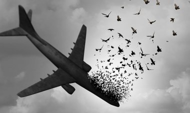 بازماندگان  حادثه سقوط هواپیمای اوکراینی دیه می گیرند