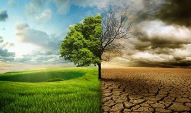 اصلاح الگوی کشت، ناجی زمینِ بحران‌زده از کم‌آبی در فارس