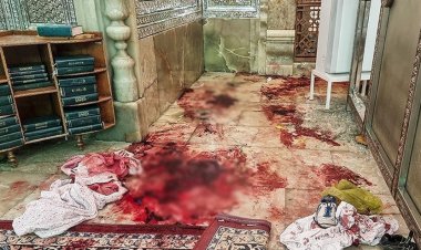 سخنگوی قوه قضائیه: چرا نهادهای حقوق بشری جنایت شاهچراغ را محکوم نکردند؟