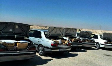 توقیف ۷ خودروی شوتی در استان بوشهر