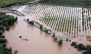 اختصاص۶۶۲ میلیارد و ۵۰۰ میلیون تومان برای جبران خسارت سیل در استان فارس