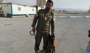 استقرار سگ‌های مواد یاب در گمرک دیر