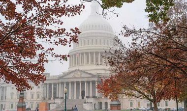 انتخابات میان دوره‌ای آمریکا| شمار «فرمانداران زن» رکورد زد