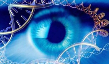 کشف شیوه‌ای تازه برای درمان نابینایی مادرزادی