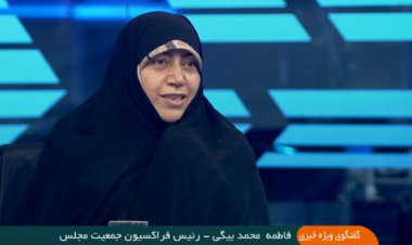 برای قانون جوانی جمعیت یک ریال هم پرداخت نشده!