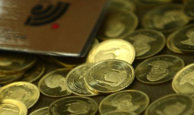 طلا بالا کشید