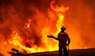 ببینید | آتش سوزی گسترده در شرکت تولید روغن موتور مبارکه