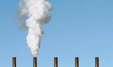 یک فناوری جدید برای جذب CO۲ ابداع شد