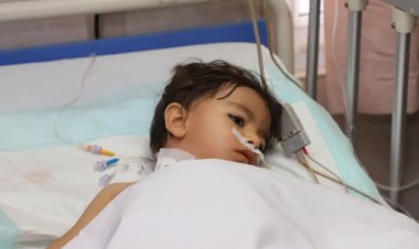 کودک مجهول الهویه حمله تروریستی شاهچراغ (ع) کیست؟