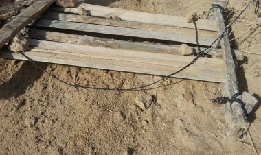 ۲۵۰ تله زنده‌ گیری «هوبره » در استان بوشهر تخریب شد