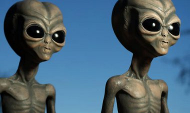 ببینید | تصاویر باورنکردنی از سقوط بشقابپرنده و پیدا شدن یک موجود فرازمینی در حال مرگ!