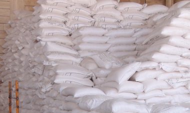 مالک برنج‌های احتکاری در شیراز جریمه شد