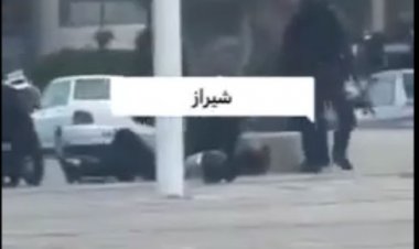 دستگیری عامل مجروحیت کارکنان یگان امداد در شیراز