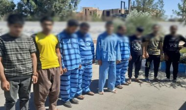۱۷ سارق طی 3 روز در دشتستان دستگیر شدند
