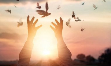 رهایی جوان محکوم به قصاص با گذشت اولیای دم در بوشهر