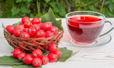 این میوه پاییزی عفونت‌های ریه را درمان می‌کند