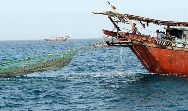 بوشهری‌ها از خلیج فارس فقط ماهی گرفته‌ و خورده‌اند