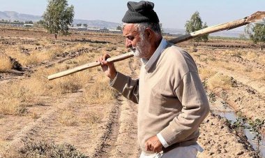 وزیر کشاورزی خاتمی و روحانی با بیل و لباس کار در زمین کشاورزی!
