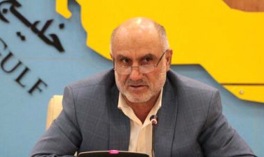 استاندار بوشهر: یک نفر زخمی با گلوله در استان بوشهر نداریم