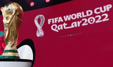 اعزام ۱۶۰۰ گردشگر ورزشی و توریست از فارس به دوحه قطر