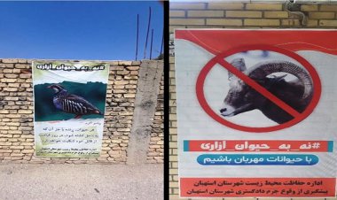 رای متفاوت قاضی استهبان برای عوامل آزار یک قلاده سگ