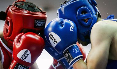 واکنش فدراسیون بوکس به اقدام «ثوری»