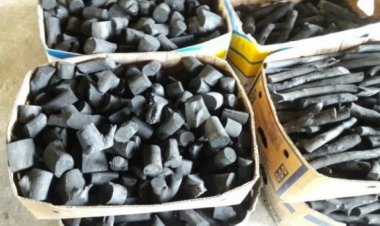 بخت ذغال بلوط زاگرس!