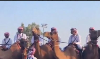 فیلم| تیم امنیتی پهپادی و شتری در جام جهانی!