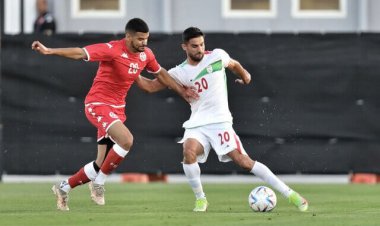 جدال یوز و شیر