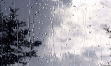 پیش‌بینی بارش پراکنده در بوشهر