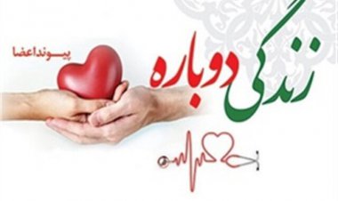 ارتقای رتبه خوزستان در اهدای عضو / اهدای ۵ قلب به بیماران نیازمند از ابتدای سال   