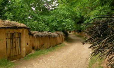 شهردار: حفظ باغ‌های شیراز وظیفه شرعی و قانونی است