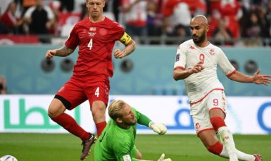 دیدار دانمارک و تونس از دید آمار