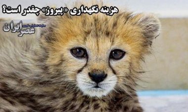 ببینید | هزینه ماهانه «پیروز» چقدر است؟