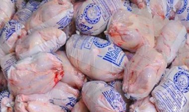 چرا قیمت مرغ یخی افزایش یافت؟