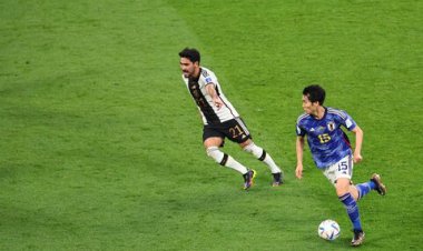 گل‌دوم‌ژاپن‌ به آلمان توسط آسانو