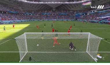 گل اول سوئیس به کامرون توسط بریل امبولو