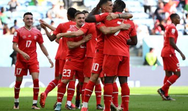 سوئیس شیرهای آفریقا را رام کرد