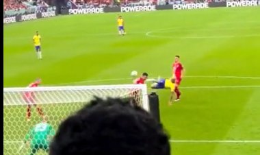 فیلم| سوپرگل ریچارلیسون و تماشاگرانی که به وجد آمدند