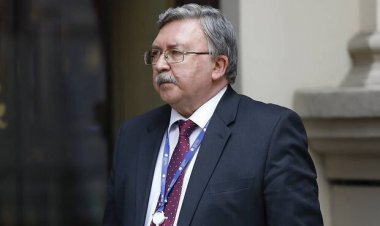 اولیانوف: وقت آن است که ماراتن مذاکرات وین را کامل کنیم