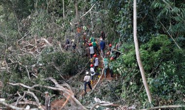 شمار قربانیان زلزله اندونزی به ۳۱۰ نفر افزایش یافت