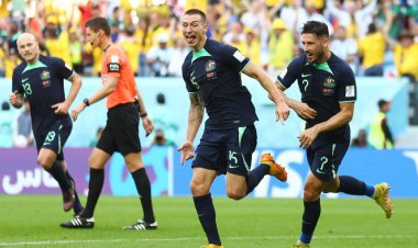 پرش بلند کانگوروها