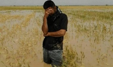 پرداخت ۵۰۰ میلیارد تومان غرامت به کشاورزان فارس آغاز شد    