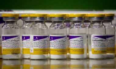 ۶۵ تن آنتی بیوتیک فردا وارد کشور می‌شود